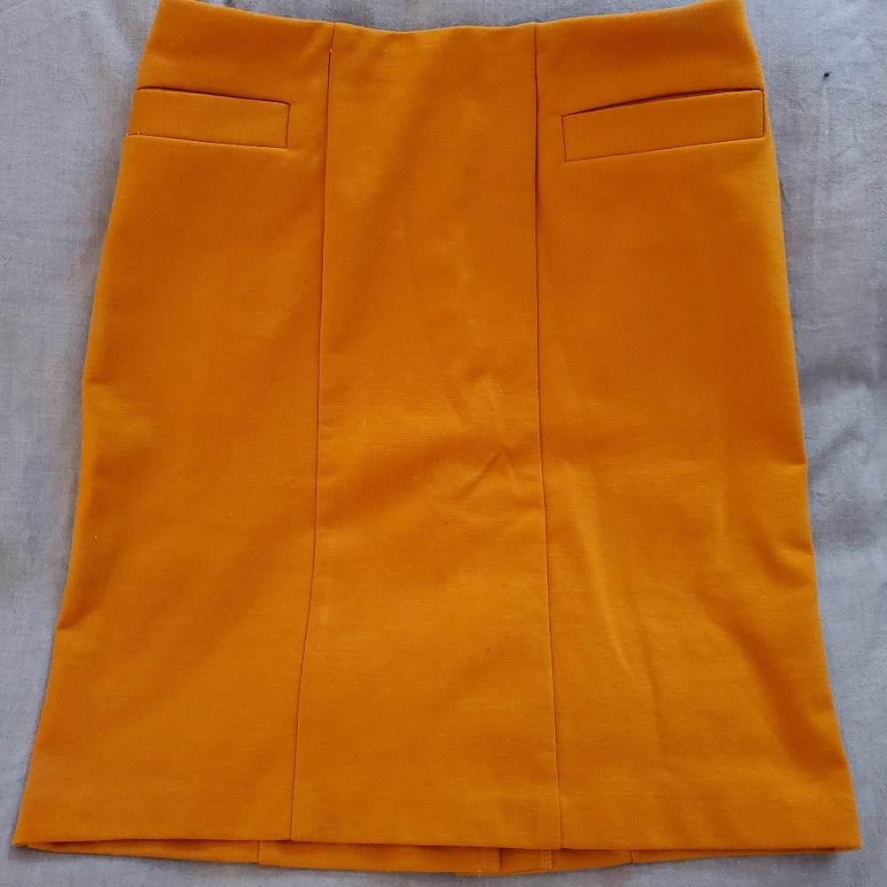 Burnt Orange Pencil Skirt, Sz XS